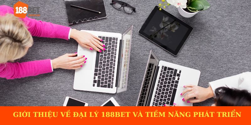 Giới thiệu về đại lý 188BET và tiềm năng phát triển kinh doanh