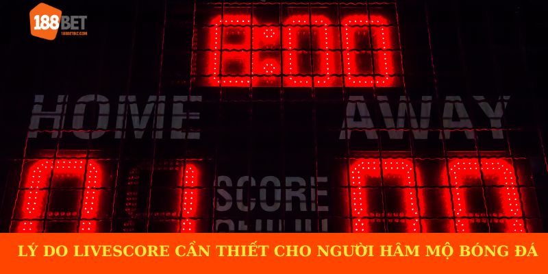 Lý do livescore luôn cần thiết cho người hâm mộ bóng đá